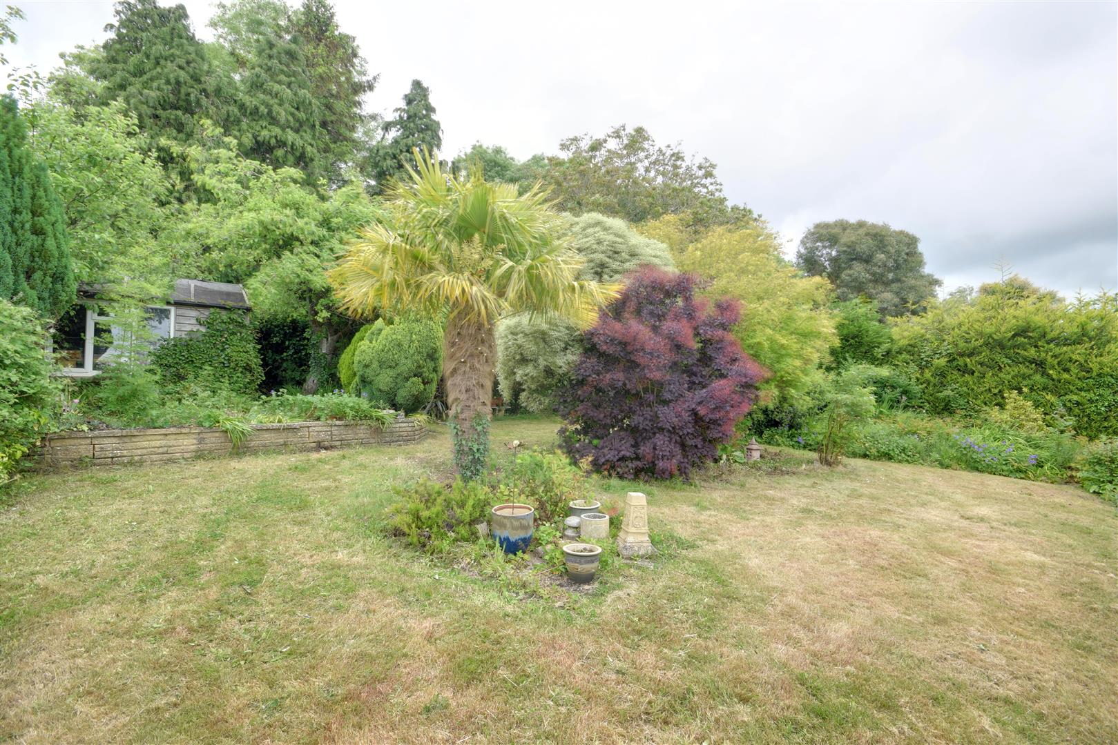 New Road, Mill Corner, Northiam Rush, Witt & Wilson